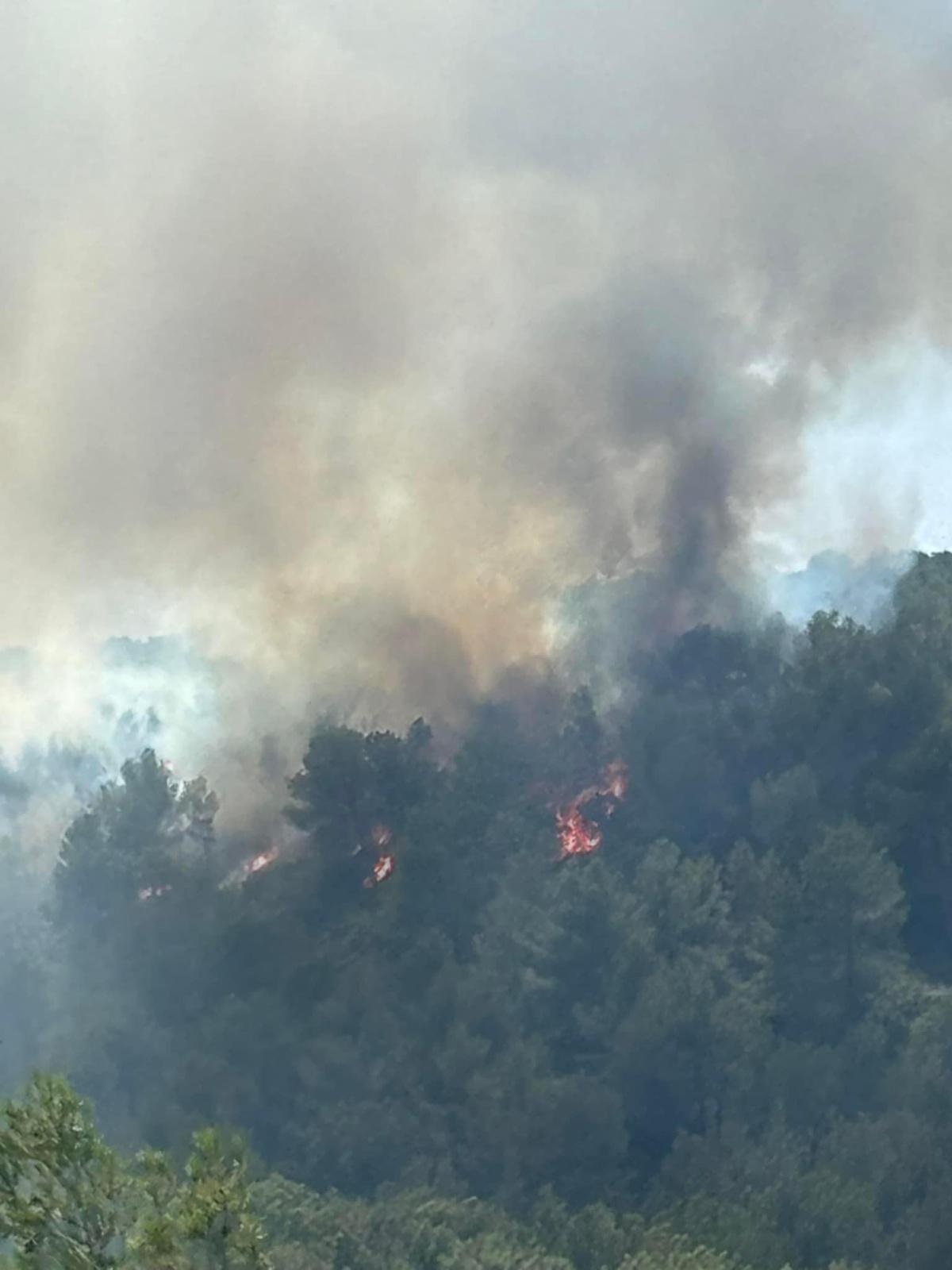 Incendie à Bandol fixé : 7 hectares parcourus par les flammes et plusieurs maisons sauvées