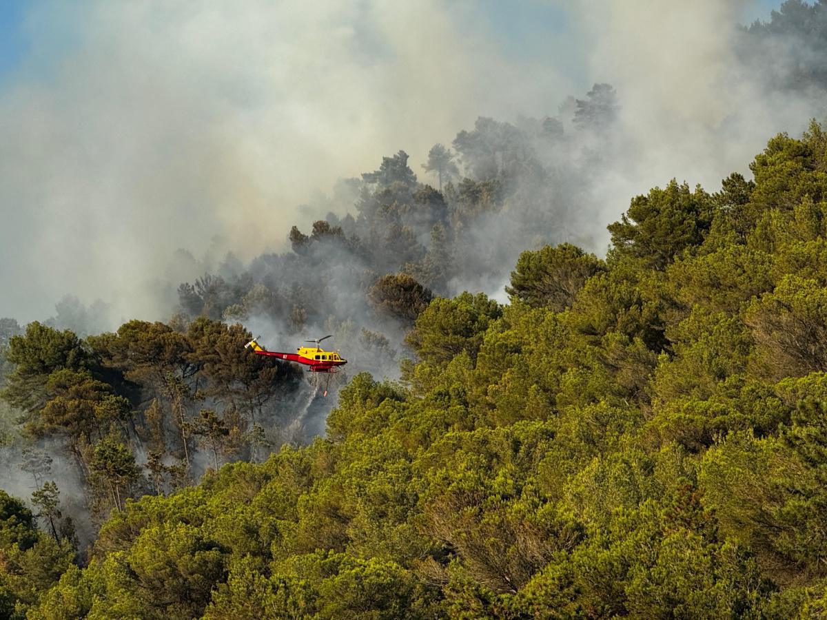 Un incendie en cours dans l’arrière-pays Niçois Un incendie en cours dans l’arrière-pays Niçois