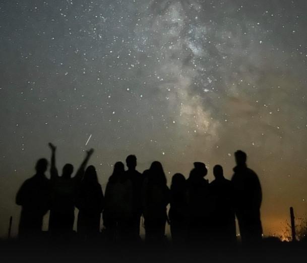 Les nuits des étoiles : des pics d'étoiles filantes à observer