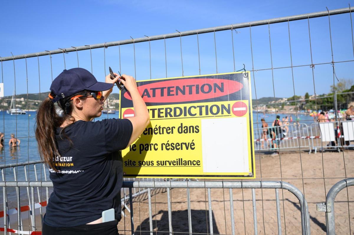 Saint-Raphaël : la ville privatise une plage pour une tortue Saint-Raphaël : la ville privatise une plage pour une tortue