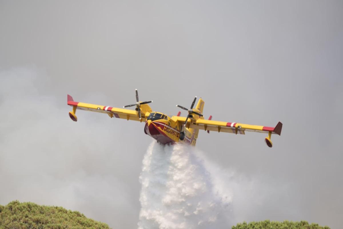 Incendie : 6 hectares brûlés à Besse-sur-Issole. Le feu est désormais fixé  Incendie : 6 hectares brûlés à Besse-sur-Issole. Le feu est désormais fixé