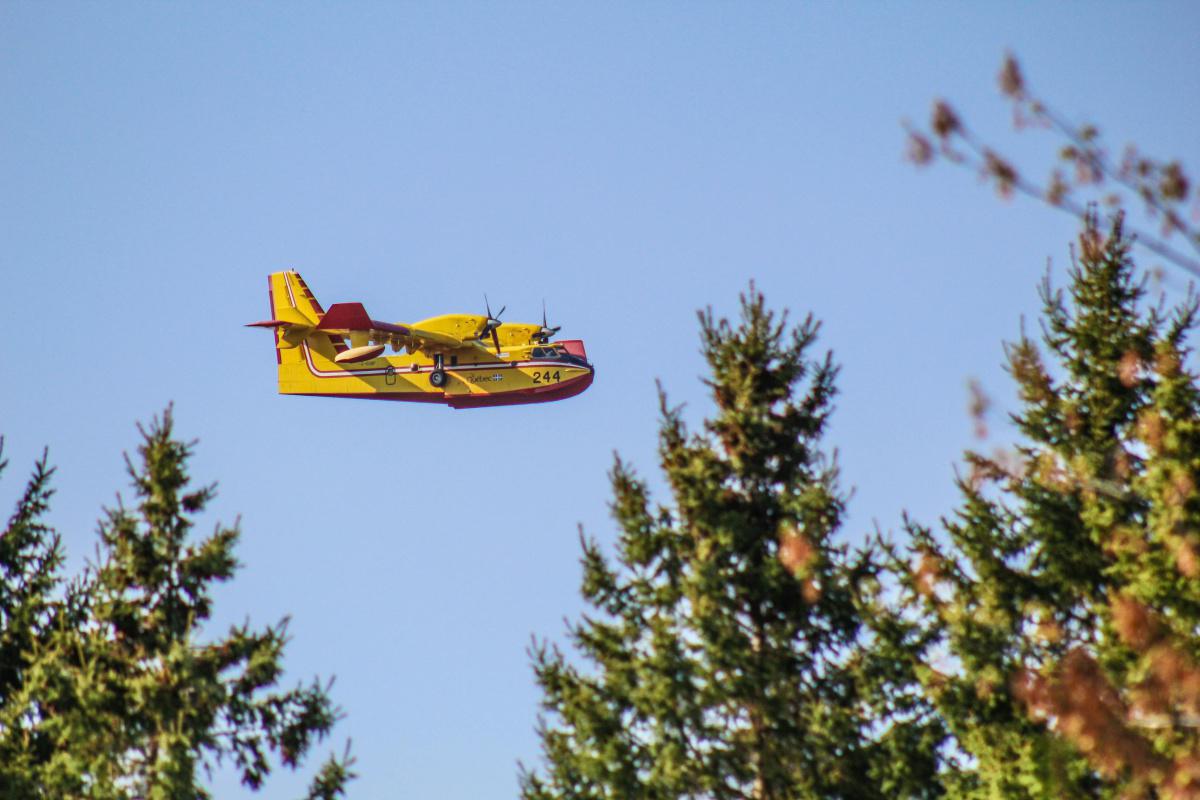Une centaine de pompiers des Bouches-du-Rhône mobilisés sur l'incendie de Gigean (Hérault) Une centaine de pompiers des Bouches-du-Rhône mobilisés sur l'incendie de Gigean (Hérault)