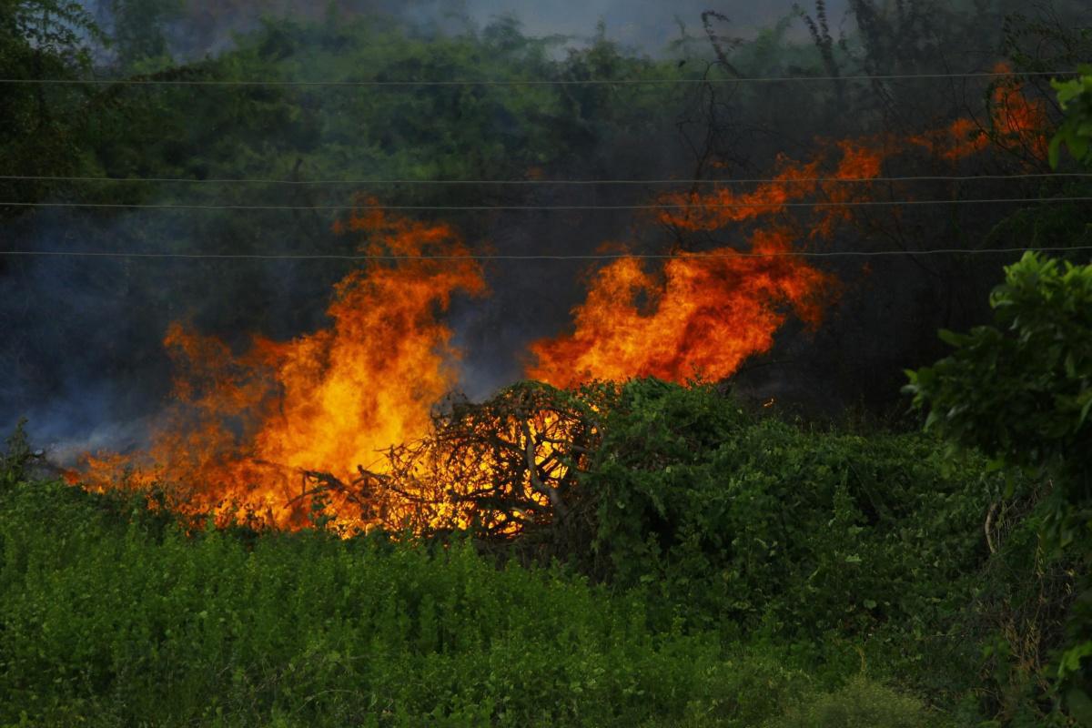 Incendie à Coursegoules : un feu de broussailles maîtrisé par les secours Incendie à Coursegoules : un feu de broussailles maîtrisé par les secours