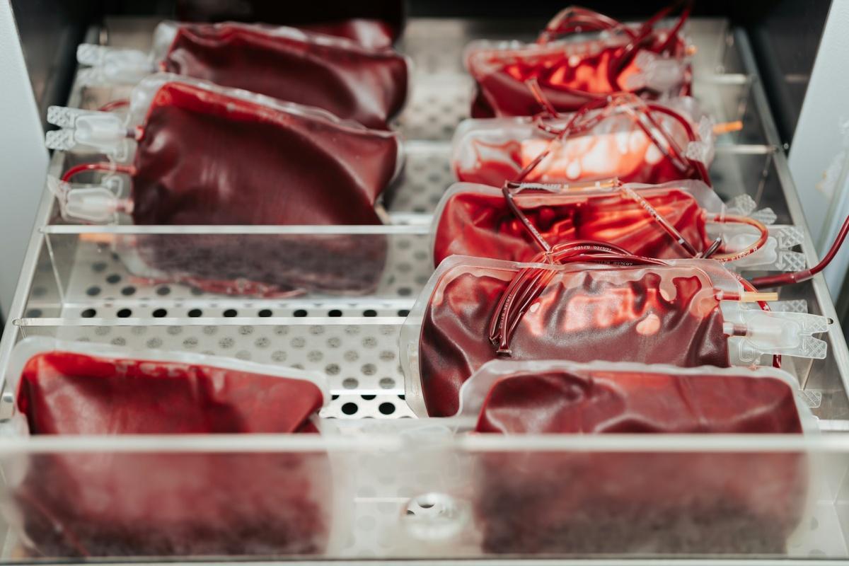 Sang Rouge et Noir : le Gym mobilisé place Masséna Sang Rouge et Noir : le Gym mobilisé place Masséna