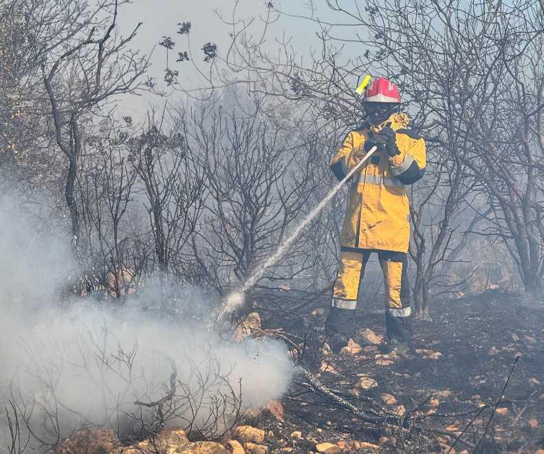 Incendie maîtrisé à La Trinité : 14 hectares parcourus
