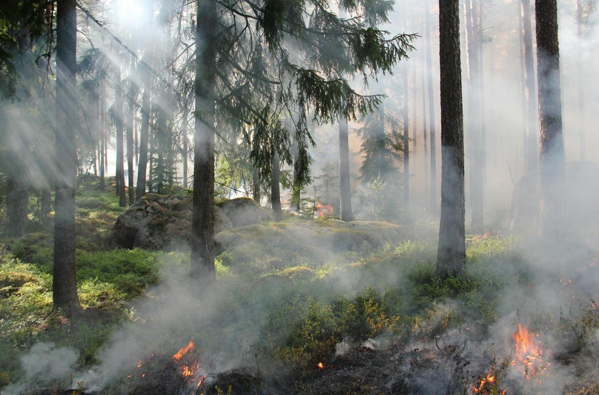 Un risque incendie très élevé en Provence-Alpes-Côte d’Azur ce 7 juillet