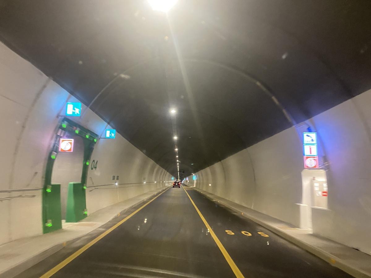 Tunnel de Tende : l'association REN s'oppose au doublement 