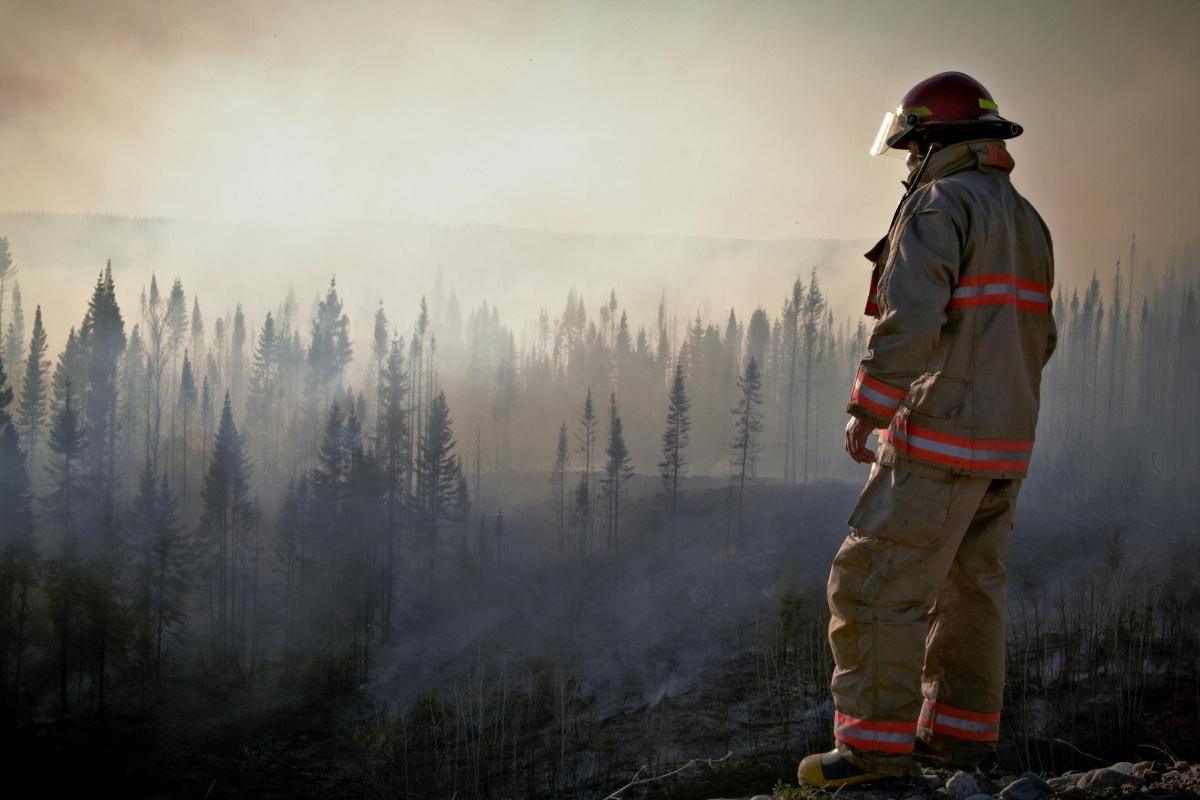 Sospel : un incendie maîtrisé de justesse dans l’arrière-pays niçois