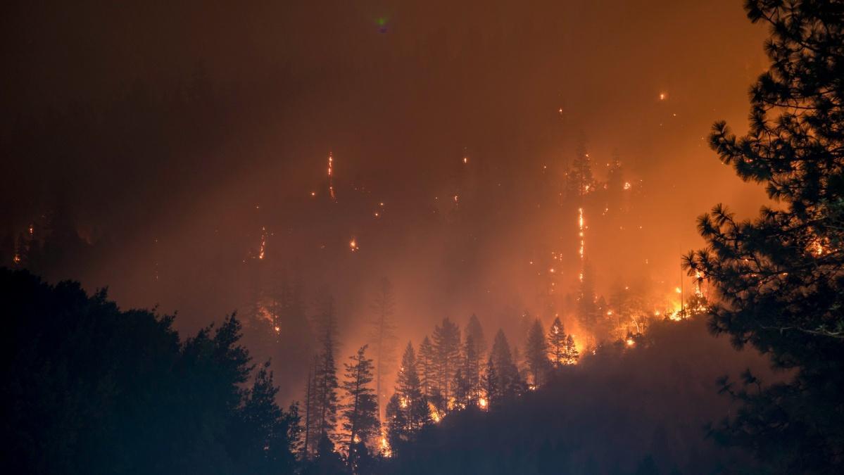 Feux de forêts : 16 000 hectares déjà partis en fumée en France depuis le début de l’année Feux de forêts : 16 000 hectares déjà partis en fumée en France depuis le début de l’année