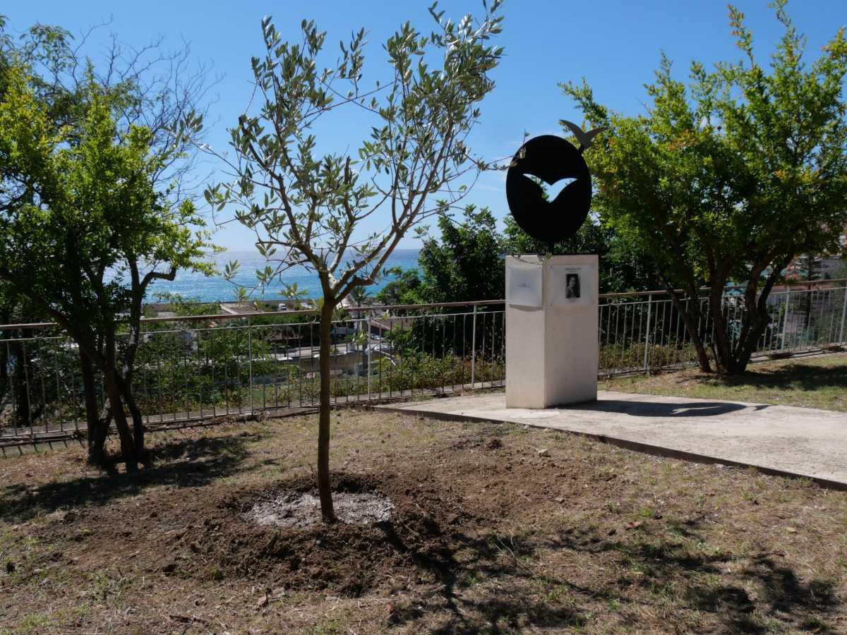 Vandalisme à Menton : l’olivier en hommage à Ilan Halimi a été arraché Vandalisme à Menton : l’olivier en hommage à Ilan Halimi a été arraché