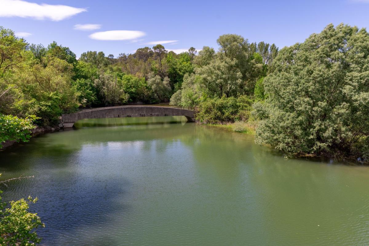 Montauroux : 200 hectares de forêts menacés autour du lac de Saint-Cassien Montauroux : 200 hectares de forêts menacés autour du lac de Saint-Cassien