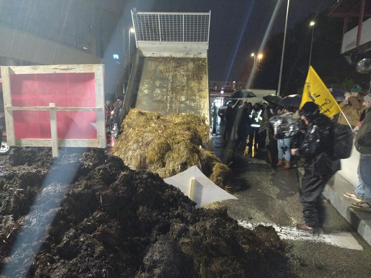 Les agriculteurs azuréens mobilisés à Nice contre l’abattage des troupeaux