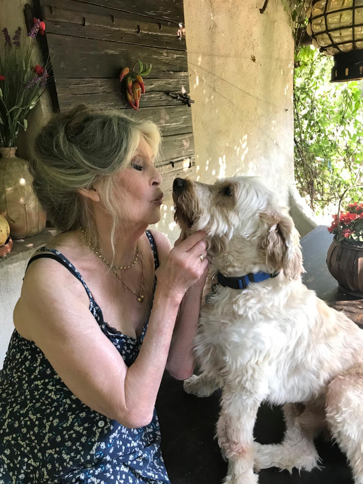 Brigitte Bardot : l'attribution du nom de l'actrice à un lieu emblématique de Nice fait réagir