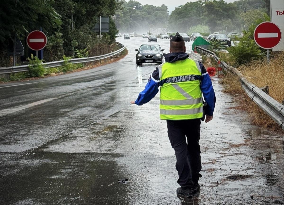 Drogue au volant : près de 4 000 permis suspendus en un an dans les Alpes-Maritimes