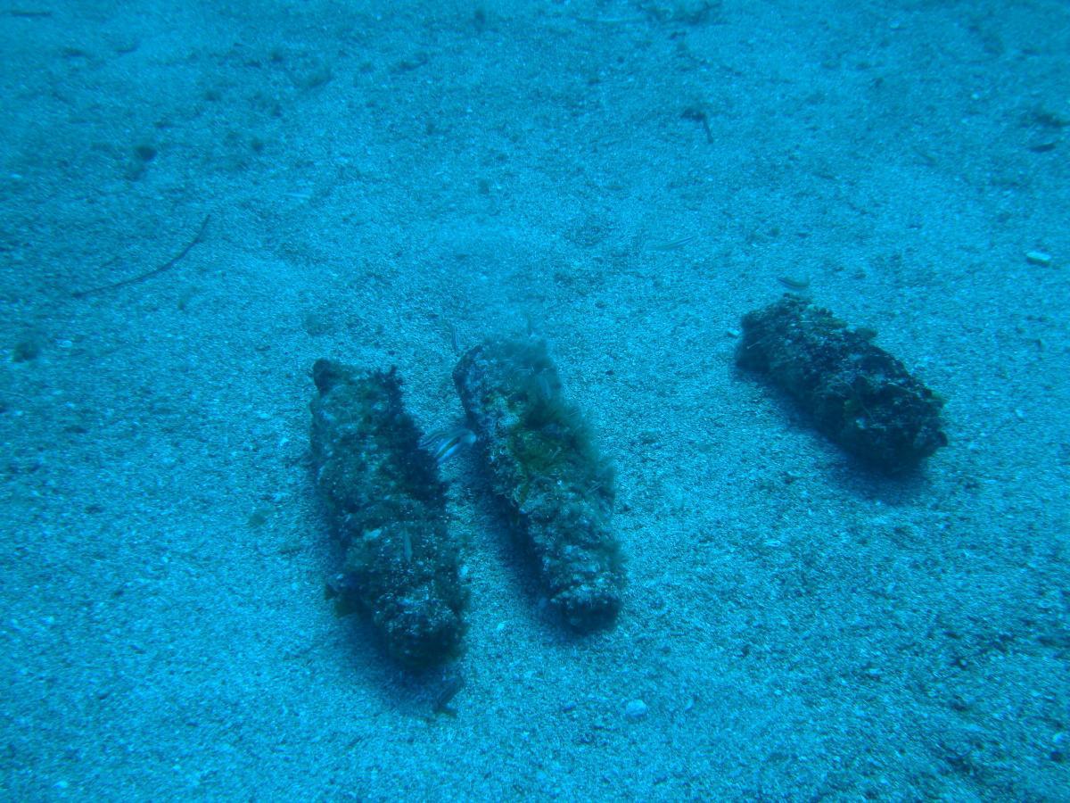 Des obus découverts en mer : zones nautiques temporairement interdites près de Nice et Villefranche