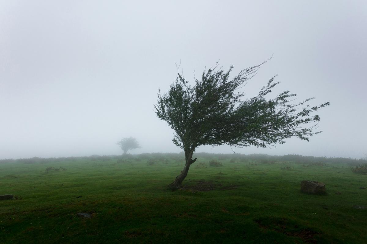 Tempête Nils : le Var et les Alpes-Maritimes en alerte face à de violentes rafales Tempête Nils : le Var et les Alpes-Maritimes en alerte face à de violentes rafales