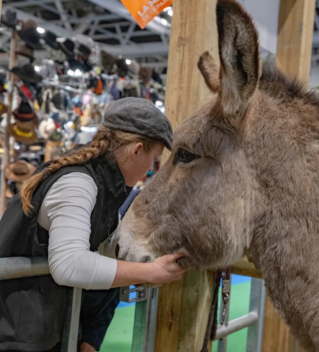 Salon de l'agriculture : les produits du terroir azuréen à l'honneur, des incidents signalés en marge de l'évènement