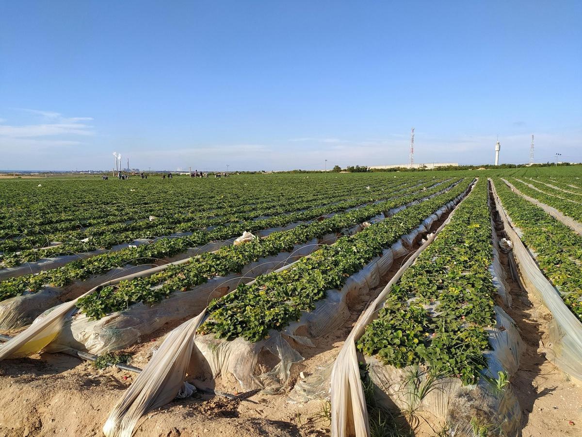 Nice : un bilan environnemental contrasté à l’approche des municipales Nice : un bilan environnemental contrasté à l’approche des municipales