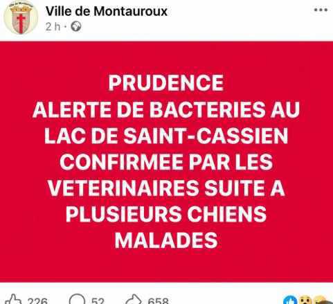 Alerte bactéries au lac de Saint-Cassien : plusieurs chiens malades, appel à la prudence