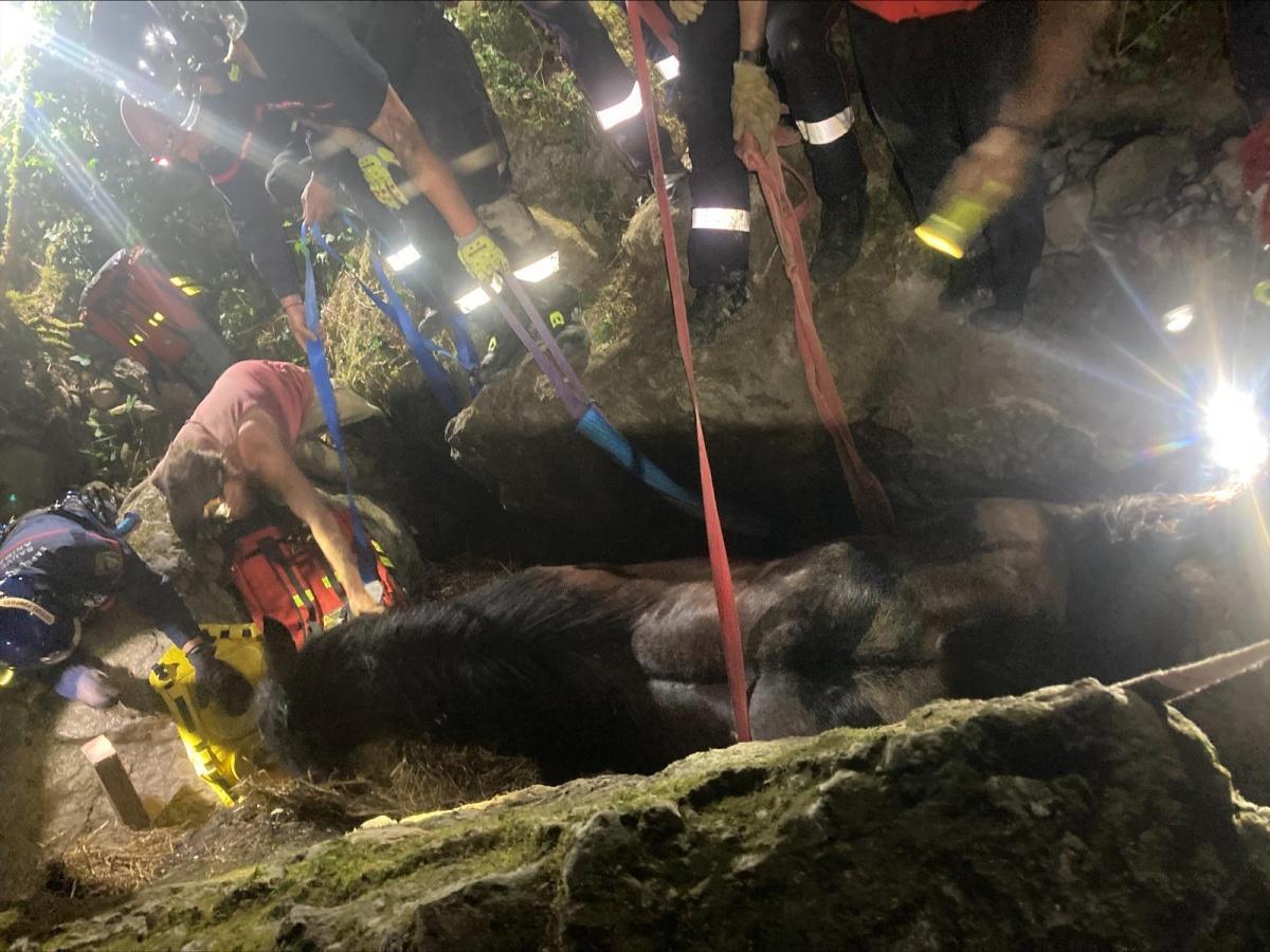 Un cheval de 800 kg coincé dans un vallon : opération délicate à La Bollène-Vésubie Un cheval de 800 kg coincé dans un vallon : opération délicate à La Bollène-Vésubie