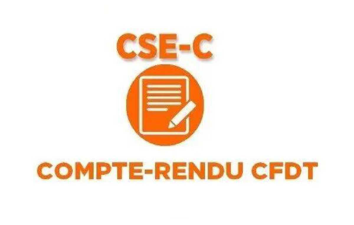 Composition du CSE-central