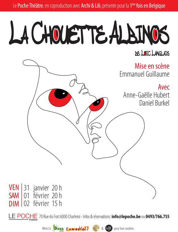 La chouette albinos