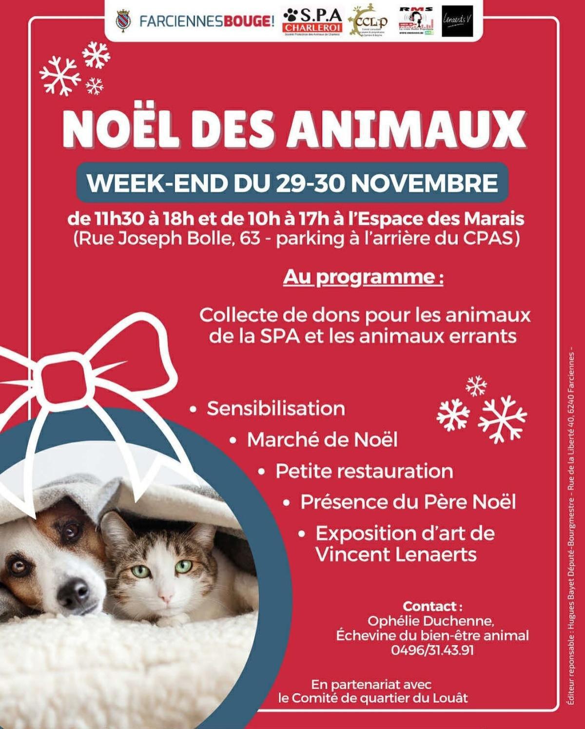 Noël des animaux