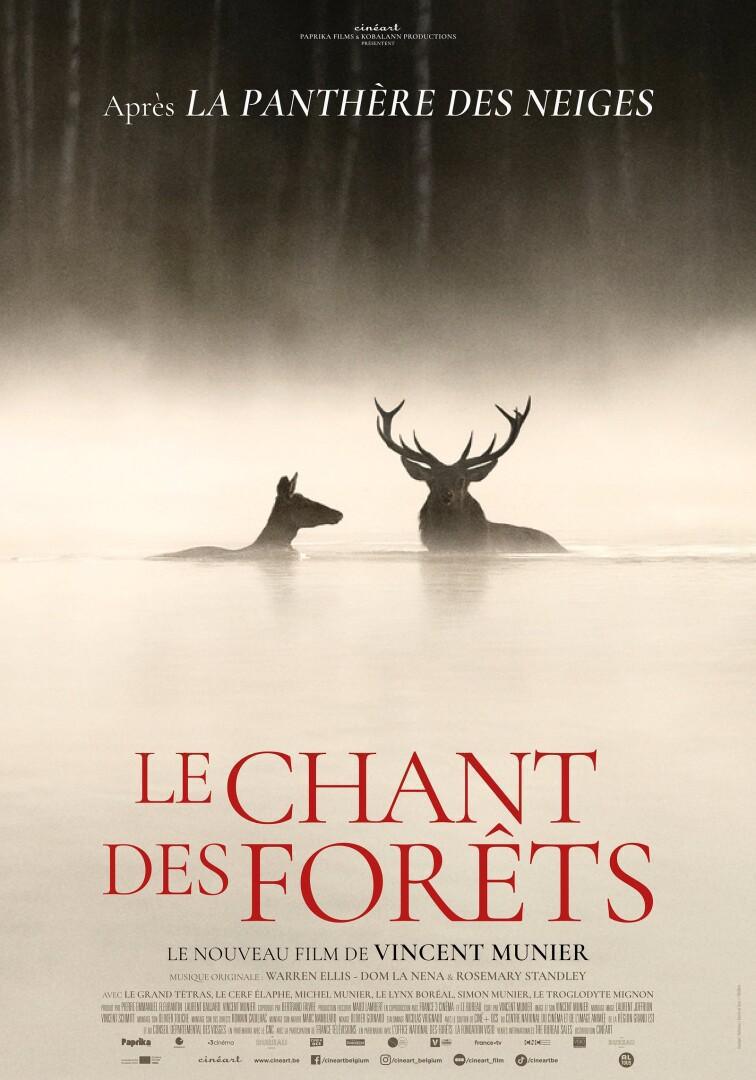 Le chant des forêts Le chant des forêts