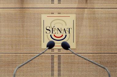 Info FO : 211 milliards d’euros d’aides publiques aux grandes entreprises : le Sénat prône d’en durcir l’octroi