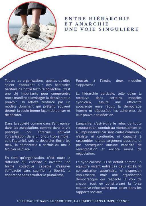 Entre hiérarchie et Anarchie, une voie singulière.