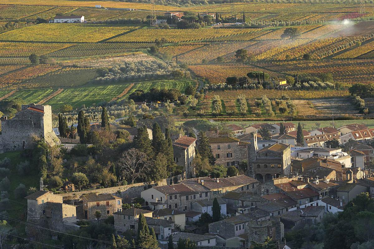 Suvereto and human biodiversity Suvereto and human biodiversity