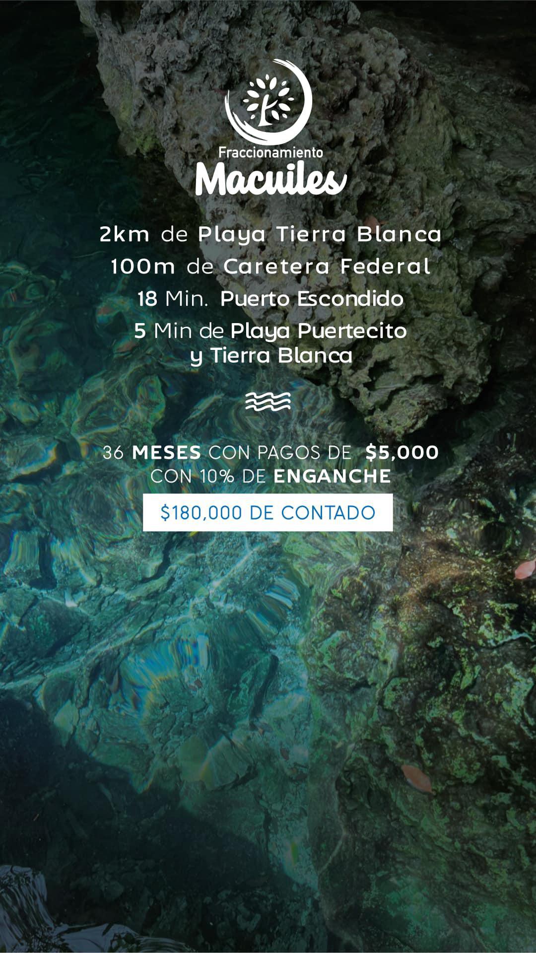 OCEANIC INMOBILIARIA 