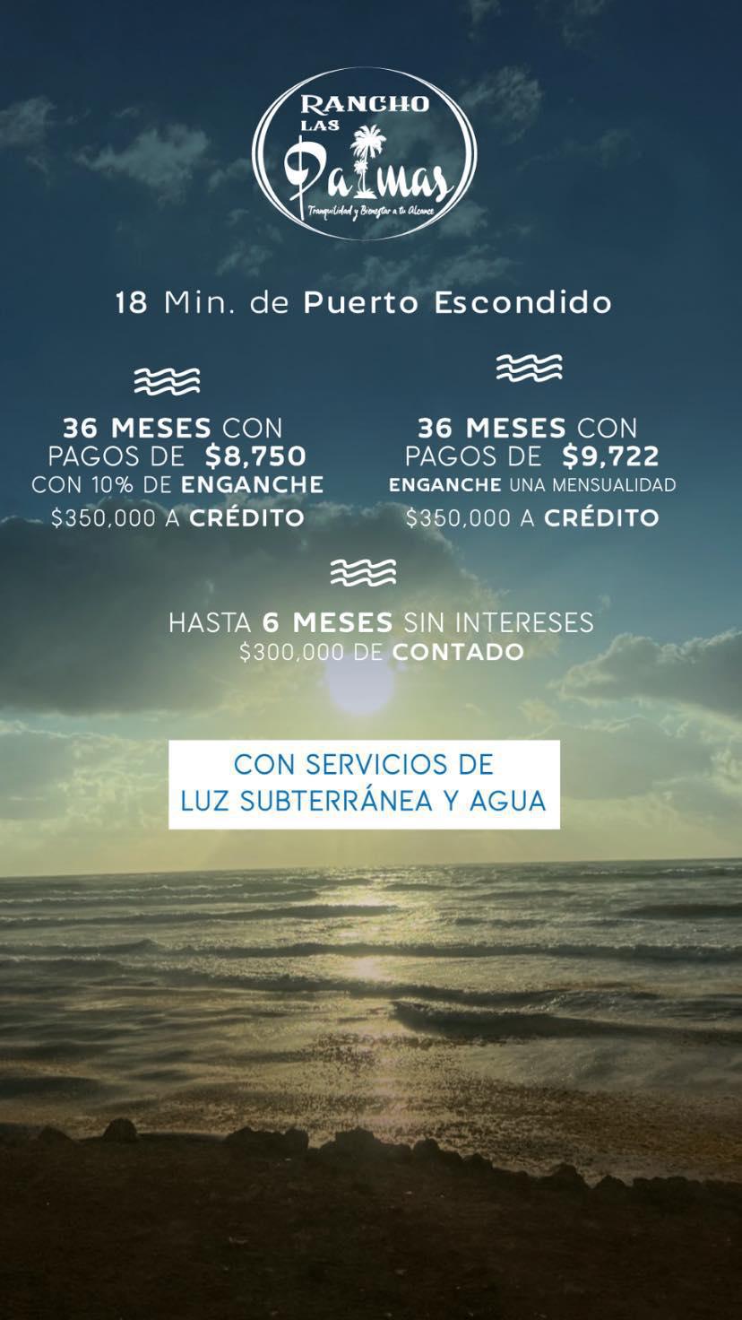 OCEANIC INMOBILIARIA 