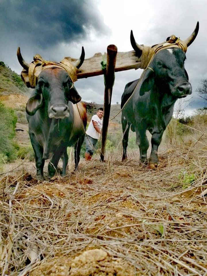 Ruta Coatlanes - Costa ( Terminal - San Pablo Coatlan ) Ruta Coatlanes - Costa ( Terminal - San Pablo Coatlan )