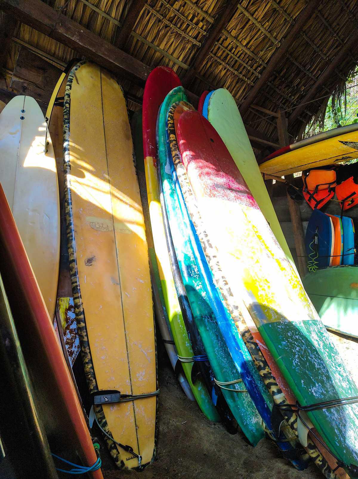 Carrizalillo surf school 