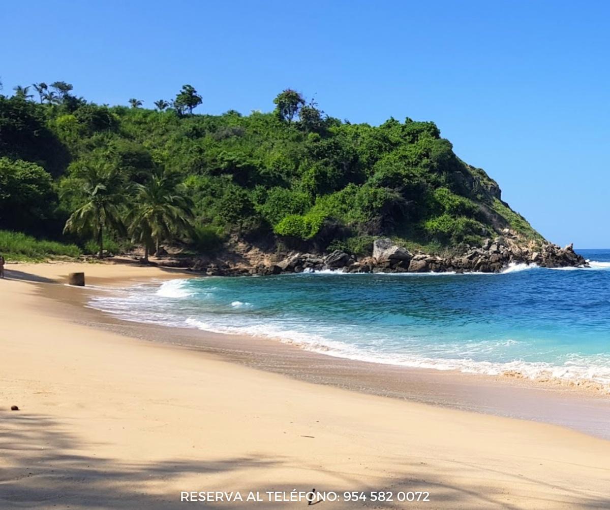 Hotel Villa Mexicana Hotel Villa Mexicana