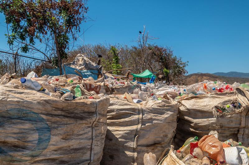 El mundo subterráneo de Puerto Escodido El mundo subterráneo de Puerto Escodido