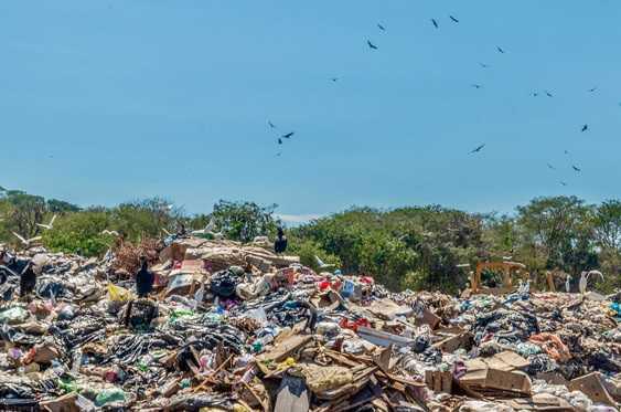 El mundo subterráneo de Puerto Escodido El mundo subterráneo de Puerto Escodido