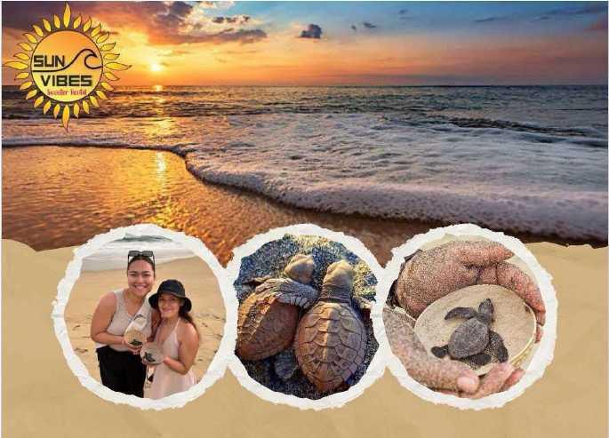 Sun Vibes Tours y Renta de Motos Sun Vibes Tours y Renta de Motos