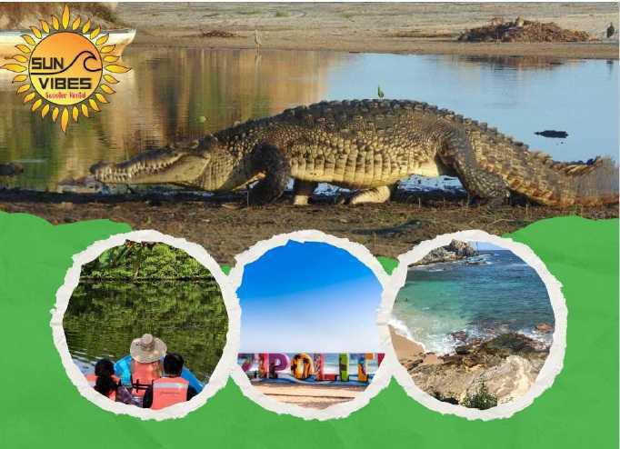 Sun Vibes Tours y Renta de Motos