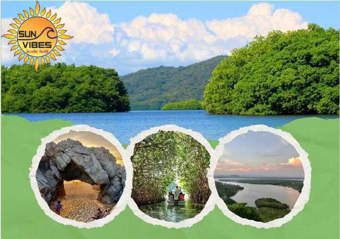 Sun Vibes Tours y Renta de Motos