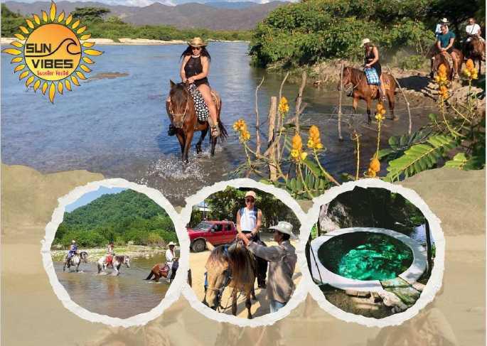 Sun Vibes Tours y Renta de Motos