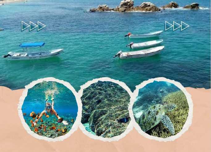 Sun Vibes Tours y Renta de Motos