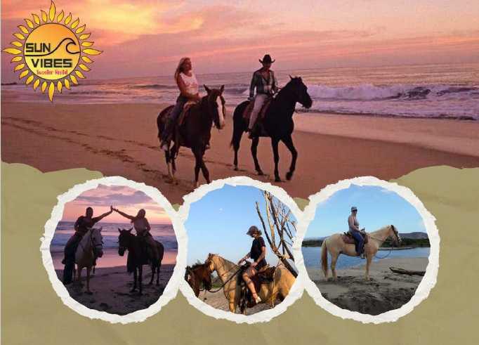 Sun Vibes Tours y Renta de Motos Sun Vibes Tours y Renta de Motos