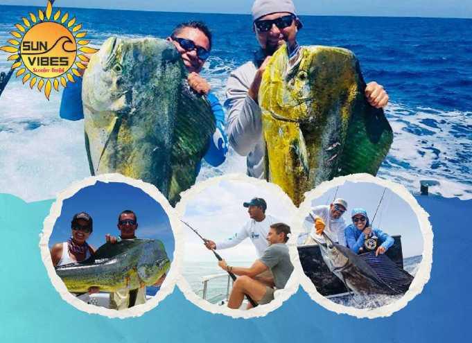 Sun Vibes Tours y Renta de Motos