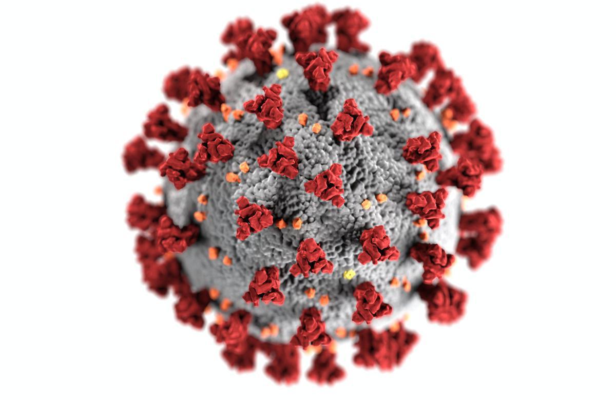 Virus del papiloma humano