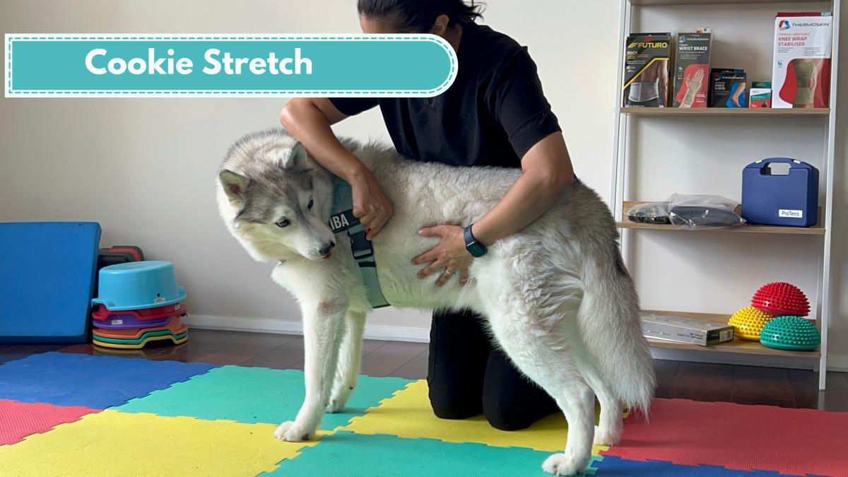 Cookie Stretch