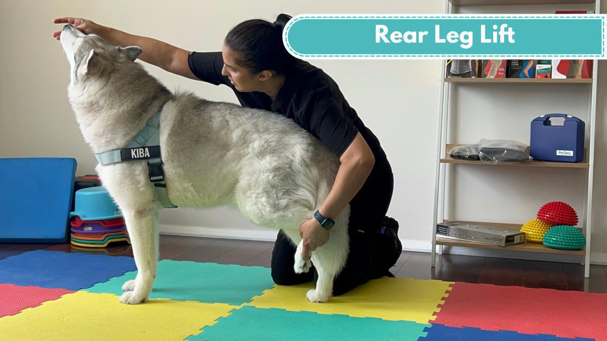 Rear leg lift