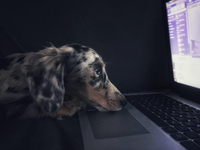 Monthly Rehab Check-In - August 2024