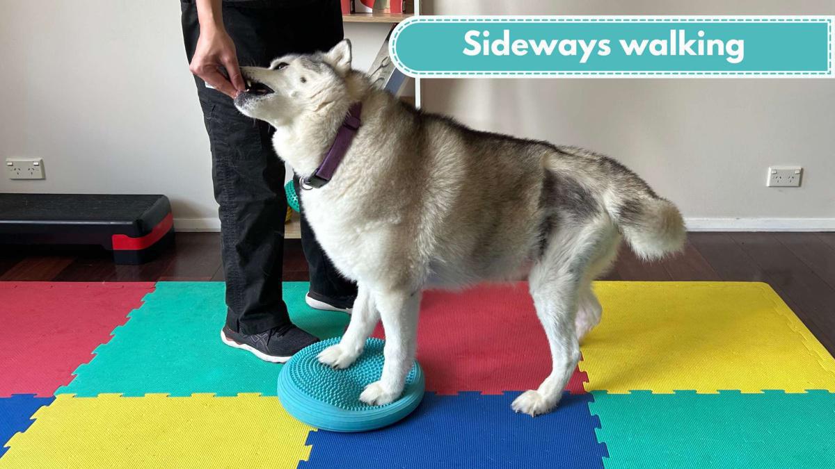 Sideways walking
